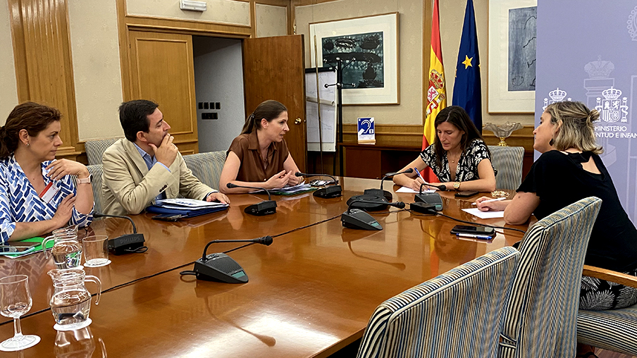 Reunión de SATSE y ANPE con la Comisionada de Salud Mental del Ministerio de Sanidad